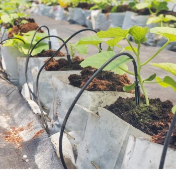 25x Kroplownik patykowy kątowy emiter 50cm do nawadniania doniczek tuneli