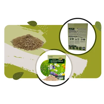 TRAWA NASIONA z Kwiatami Malowana Ogrodowa OZDOBNA 1kg ŁĄKA KWIATOWA