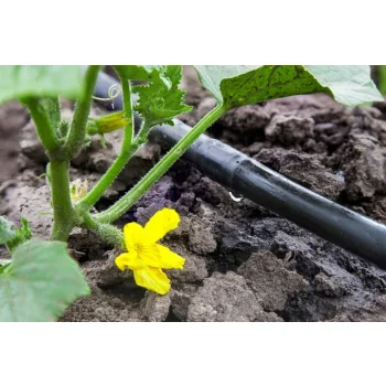 Wąż kropelkujący Mocny Fi16 System Nawadniania kropelkowego 100m