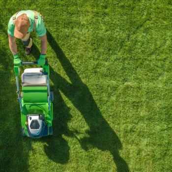 TRAWA NASIONA Gazonowa Ozdobna Samozagęszczająca Gęsta Odporna 15kg