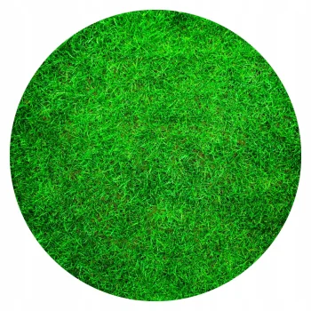 TRAWA NASIONA Renowacyjna Regeneracyjna do Odnawiania Trawnika Odporna 5kg