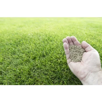 TRAWA NASIONA Renowacyjna Regeneracyjna do Odnawiania Trawnika Odporna 5kg