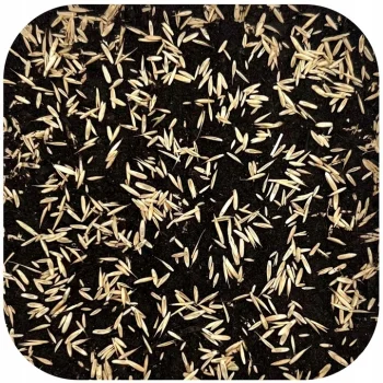 TRAWA NASIONA Renowacyjna Regeneracyjna do Odnawiania Trawnika Odporna 5kg