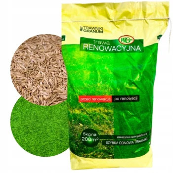 TRAWA NASIONA Renowacyjna Regeneracyjna do Odnawiania Trawnika Odporna 5kg