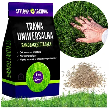 5kg Trawa Uniwersalna Nasiona Samozagęszczająca Trawy Odporna na deptanie