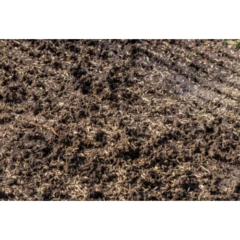 5kg Trawa Renowacyjna Nasiona Samozagęszczająca Nasiona Trawy Odporna