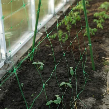 PODPORA STELAŻ Siatka Tyczki Do Pomidorów 180cm Ogórków Fasoli Grochu
