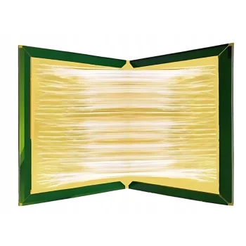 10 x Lep Na Myszy Gryzonie Mocny - Pułapka Łapki Klejące Na Myszy - 10 sztuk