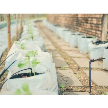 Kroplownik Patykowy Wtyk Kątowy 3x5mm Nawadnianie Kropelkowe do 3l 10szt