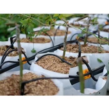 Czwórnik Rozdzielacz do Emiterów Nawadniania Kroplowników Patykowych 25szt