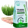 TRAWA NASIONA Uniwersalna ODPORNA NA DEPTANIE WIELOLETNIA GĘSTA 15kg