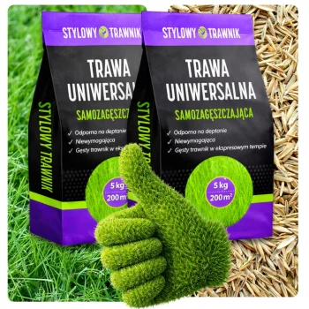 TRAWA Zagęszczająca Odporna na Deptanie Nasiona Kostrzewa UNIWERSALNA 10kg