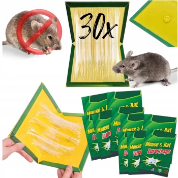 30 x Lep Na Myszy Gryzonie Mocny - Pułapka Łapki Klejące Na Myszy - 30 sztuk
